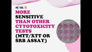 Neutral Red Uptake Assay NRU More sensitive than other cytotoxicity tests MTTXTT OR SRB assay [upl. by Atikehs]