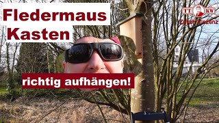 Warum sollte man einen Fledermauskasten im Garten haben Fledermaus Kasten richtig aufhängen [upl. by Polky]