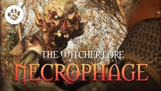 What are Necrophages The Witcher 3 Lore  Necrophages [upl. by Shuler]