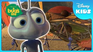 🐦‍⬛ Fake Bird Plan Surprises the Grasshoppers  A Bugs Life  Disney Kids [upl. by Aron]