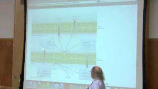 Lipid Metabolism by Kevin Ahern Part 1 of 8 [upl. by Girish]