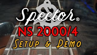 Spector NS 20004 Setup amp Demo [upl. by Rodi]