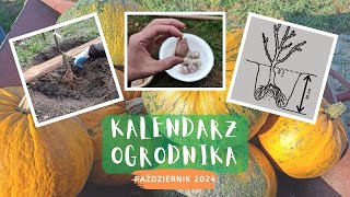 15 prac w ogrodzie w październiku czyli kalendarz ogrodnika 2024 [upl. by Aniarrol]