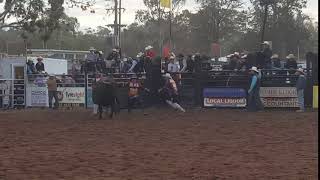 Coonamble Rodeo bull riding [upl. by Uyr]