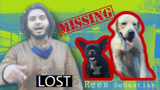 Amar dui Doggo missing 😭😱 [upl. by Downs]