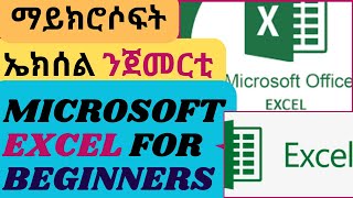 Microsoft Excel for beginners  ማይክሮሶፍት ኤክሰል ንጀመርቲ [upl. by Ardene]