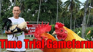 Lets Visit The Farm Of Time Trial Gamefarm [upl. by Hedaza]