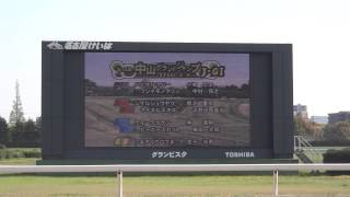 ２０１３年 中山グランドジャンプ ファンファーレ in 名古屋競馬場 [upl. by Burtie]