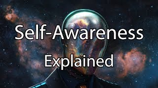 Self Awareness Explained  Beyond the 5th Level ScientificPsychology [upl. by Saidel466]