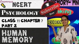 Memory Eyewitness Dual Code Forgetting Mnemonics NCERT Class 11 Psychology Chapter 7 Part 2 [upl. by Anomar166]