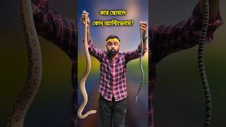 সাপ নিয়ে হাসপাতালে গেলে কী সুবিধা হয় Snake Bite vs Antivenom russellviper commonkrait [upl. by Delmor]