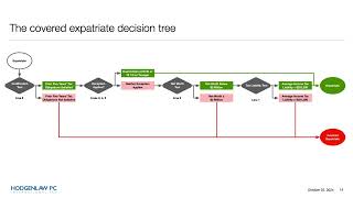 Preparing an Expatriation Income Tax Return and Form 8854 [upl. by Aiyram134]