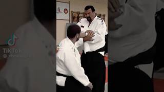 Steven Seagal Aikido master amazing skills martial arts extreme stunts strongman Kung Fu wushu [upl. by Nerak]