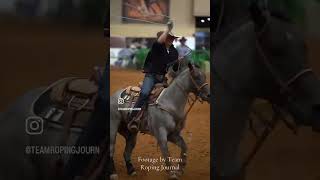 Treston Brazile reaps the 12 rewards in the ARHFA Non Pro Heeling Futurity [upl. by Gerlac274]