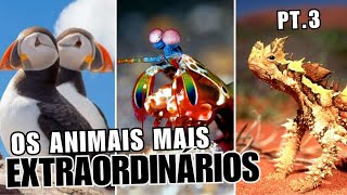 Os ANIMAIS mais EXTRAORDINÁRIOS do MUNDO PT3 [upl. by Nemajneb532]