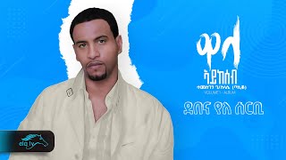 Temesgen Gebreselassie  Taniqo  Debena yelen sebri  ደበና የለ ሰርቢ  Eritrean Music  Official Audio [upl. by Ahseneuq]