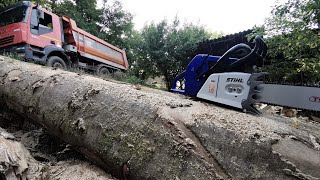 Working with the biggest chainsaw from FarmerTec  Holzfforma G888 122cc86HP [upl. by Laet]