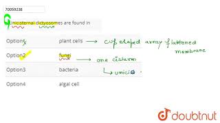 Unicisternal dictyosomes are found in [upl. by Todhunter136]