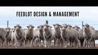 Practical feedlot seminar Feedlot design and management [upl. by Neerbas]