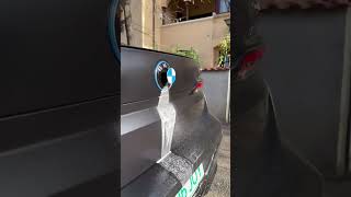 Revolutionary BMW SelfWashing Camera Say Goodbye to Car Washes [upl. by Aisatan]