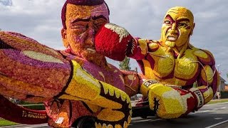 Bloemencorso Loenhout 2014 [upl. by Garson558]