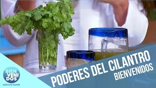 Los poderes ocultos del cilantro  Bienvenidos [upl. by Anelat373]