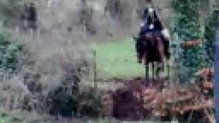 Brosna Foxhounds  Fox Hunting in Daingean  Part 1 [upl. by Biddie]