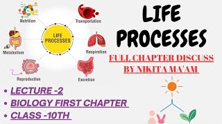 Life Processes FULL CHAPTER  Class 10th science  Chapter 5  Lecture2  NIKITA MAAM 🧫🧬🧑‍🔬 [upl. by Adrahs]