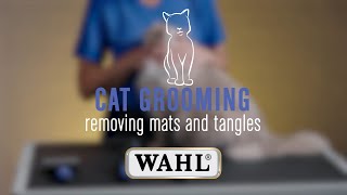 Easily Remove Mats amp Tangles from your Cats Fur 😻 [upl. by Ynnor]