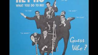 Guess Who  Shakin All Over MonotoStereo  1964 [upl. by Annavoeg]