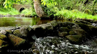 Environmental Ambient Nature Sounds  Relaxing Forest Environment Babbling Brook Water Fall Ambience [upl. by Agnella]