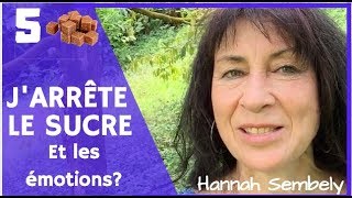 Jarrête le sucre 5quel effet sur les émotions Hannah Sembely [upl. by Aicre]