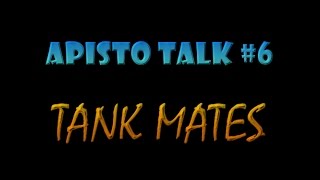 Apisto Talk 6  Tank Mates [upl. by Mckee]