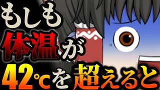 【発熱の限界】体温が42℃を突破するとヒトはどうなってしまうのか【ゆっくり解説】 [upl. by Mandell98]