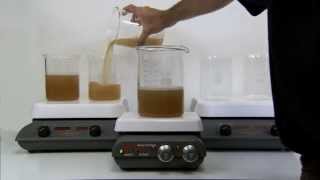 Demonstration Polyclar™ Brewbrite clarifier and stabilizer for beer [upl. by Enelad]