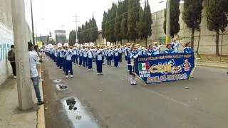 Águilas Doradas Marching Band  Almost Easy [upl. by Cecelia]