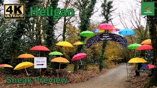 The Lost Gardens of Heligan  Night Garden by day [upl. by Diskson874]