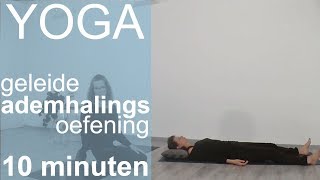 Geleide Ademhalingsoefening  10 minuten  EsTaYoga [upl. by Aeresed630]