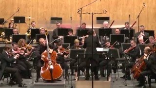 Koussevitzky DoubleBass Concerto Op3 Martin Raška Janáček Philharmonic Ostrava [upl. by Eidoc]