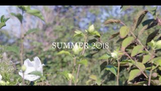 Brooks Brothers Summer 2018 Collection [upl. by Alohs318]