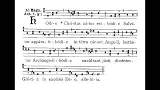 Hodie Christus Natus Est Hymn [upl. by Perry652]