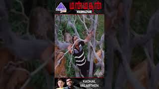 Kadhal Valarthen Video Song  Manmadhan Movie Song  STR  Jyothika  Yuvan Shankar Raja  Shorts [upl. by Ivers]