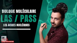 Les acides nucléiques  🧬 Adénine Cytosine Guanine Thymine Ce quil faut retenir maintenant [upl. by Eelirol645]