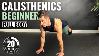 20 Min BEGINNER CALISTHENICS WORKOUT at Home  No Equipment [upl. by Batruk40]