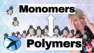 Chemistry Basics Monomers amp Polymers 🐧 [upl. by Sammy166]