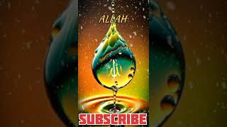 Allah k niye gojol gojol shorts islamicmusic [upl. by Trescott]