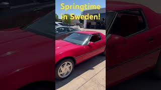 Sneak Peek 1988 Saab 900 Turbo Springtime in Sweden edition and a 1989 Corvette Convertible [upl. by Ardnohs]