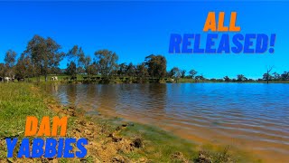 Adelaide Hills DAM YABBIES  Freshwater Crayfish  Fishing South Australia [upl. by Eryt]