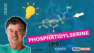 Phosphatidylserine [upl. by Annahoj801]