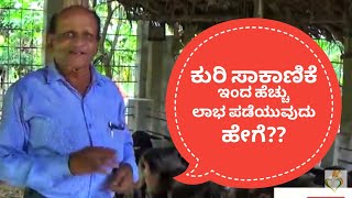 ಕುರಿ ಸಾಕಾಣಿಕೆ ಇಂದ ಹೆಚ್ಚು ಲಾಭ ಪಡೆಯುವುದು ಹೇಗೆ Sheep Farming🐑🐑kuri sakanike [upl. by Annid]